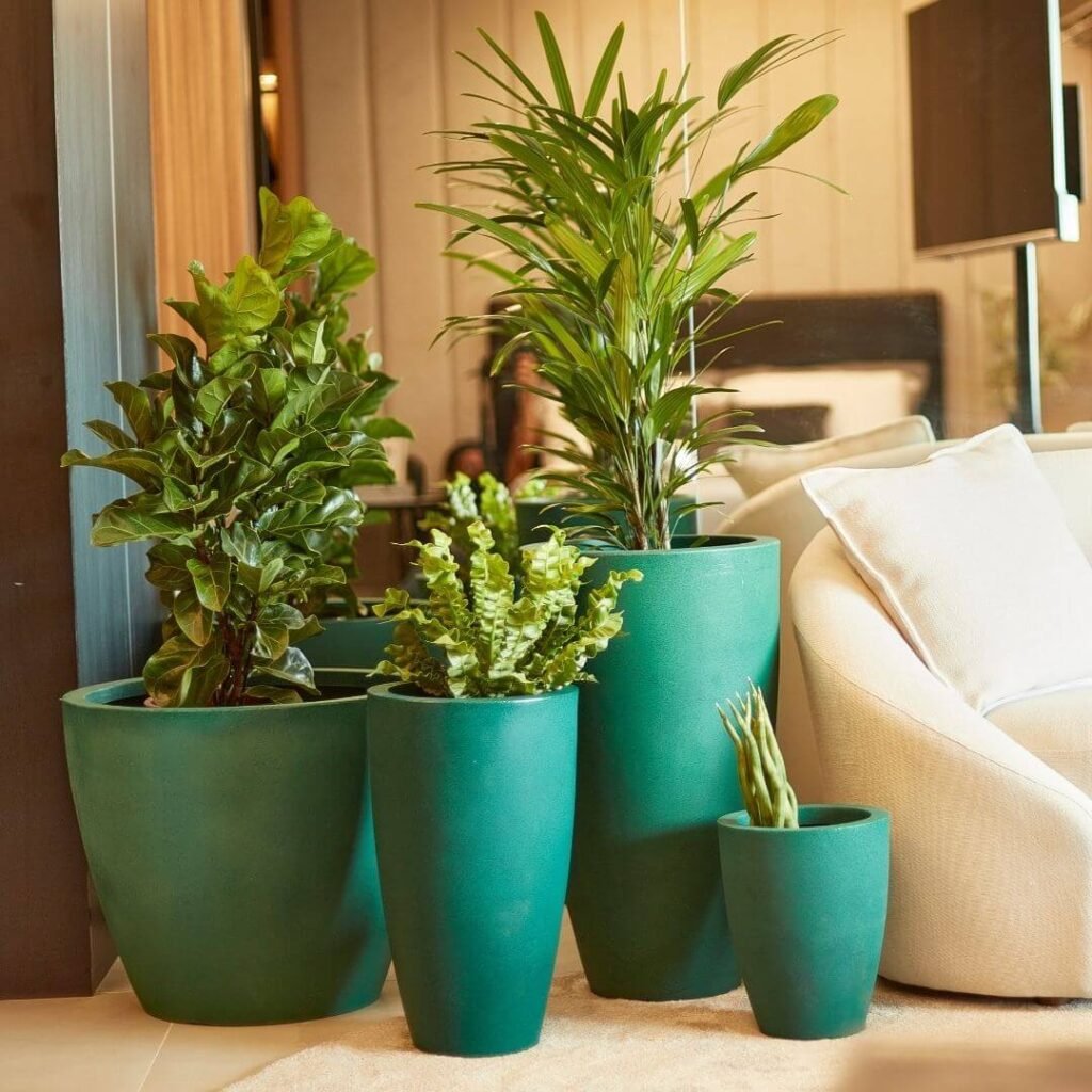 Kit de 4 vasos vietnamitas verdes - Brasil Nativas - Plantas Ornamentais