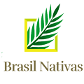 Brasil Nativas - Plantas Ornamentais